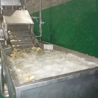 SUS304 Automatic Fruit Processing Equipment Blueberry Washing Machine