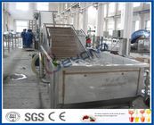 Surfing Type Fruit And Vegetable Washer Machine / Fruit And Vegetable Cleaning Machine