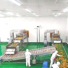 Commercial mango juice processing machine mango juice machine manufacturers