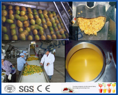 Pulpa del mango que procesa la línea de transformación del mango de la maquinaria con la máquina aséptica del paquete