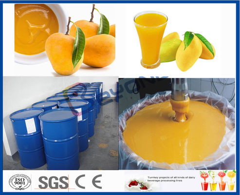 Línea de transformación del mango de la máquina del procesador de la fruta para la planta de tratamiento del jugo