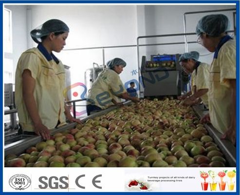 Cadena de producción del zumo de fruta del melocotón/del albaricoque/del ciruelo maquinaria del proceso de fruta