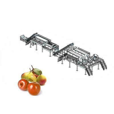 Equipo de proceso de clasificación de elevación de fruta de Apple para clasificar