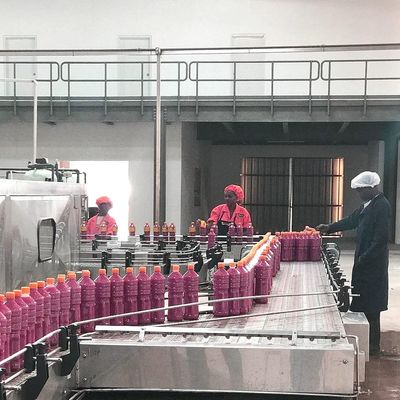 Línea de transformación automática del tomate SUS304 para la fabricación de la pasta de tomate
